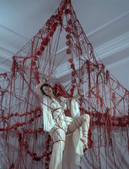 青果巷 电视剧_DVD免费高清观看