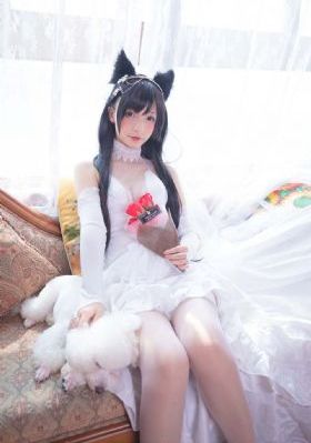 999热视频_DVD在线手机播放